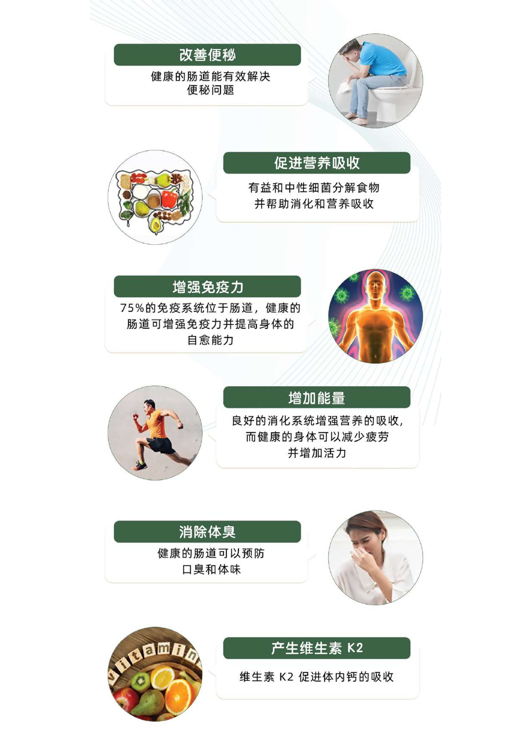 PTonic Probiotics Enzyme Natural Drink (500ml x 3) - Image 8